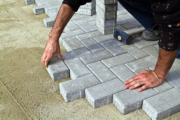 Best Professional Driveway Pavers  in Town N Country, FL